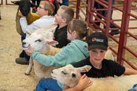 Longtown Mart Young Handlers sponsored by Farmers Guardian - 8th August 2024-12-3
